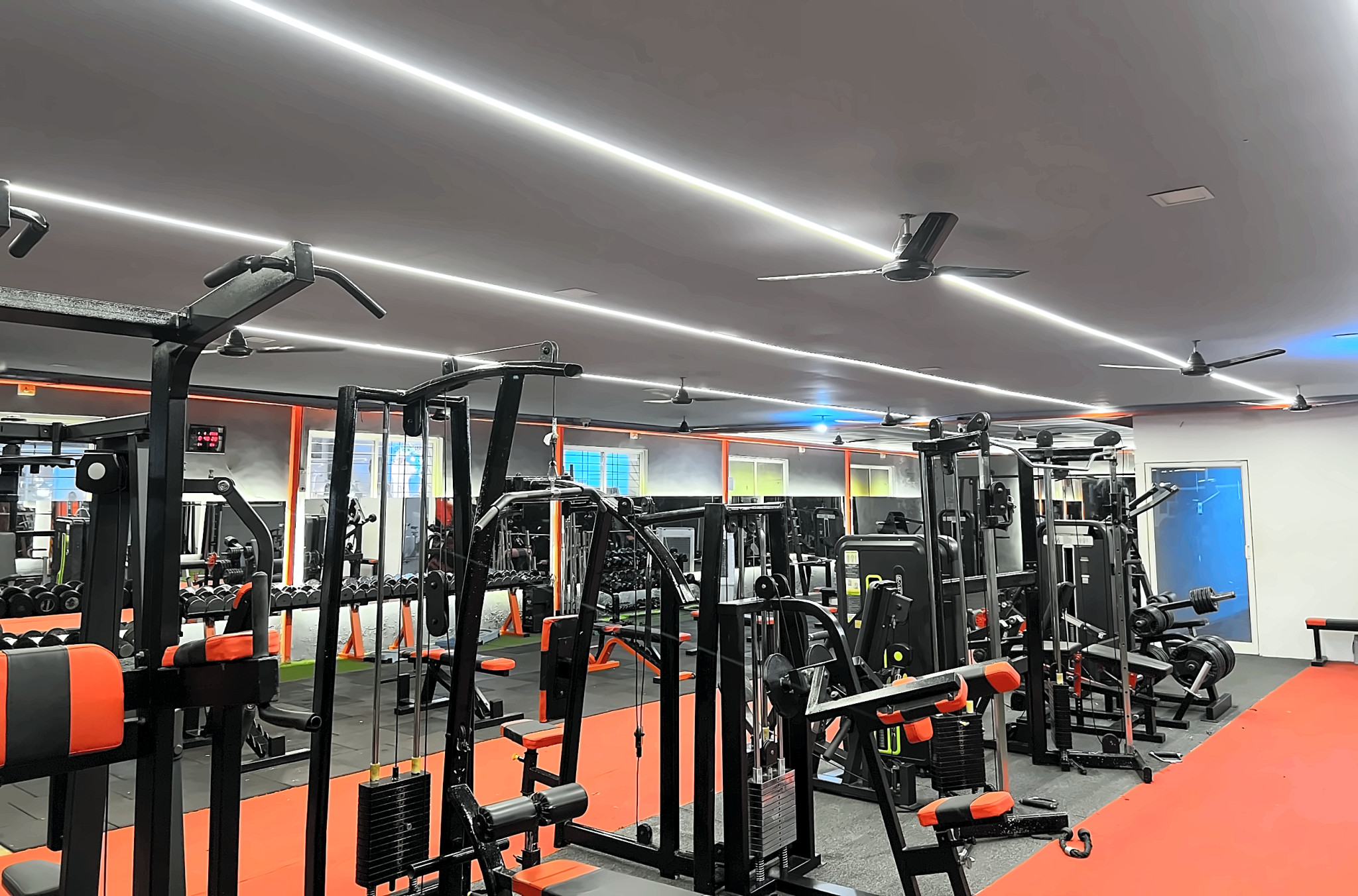 Dumbbell Row